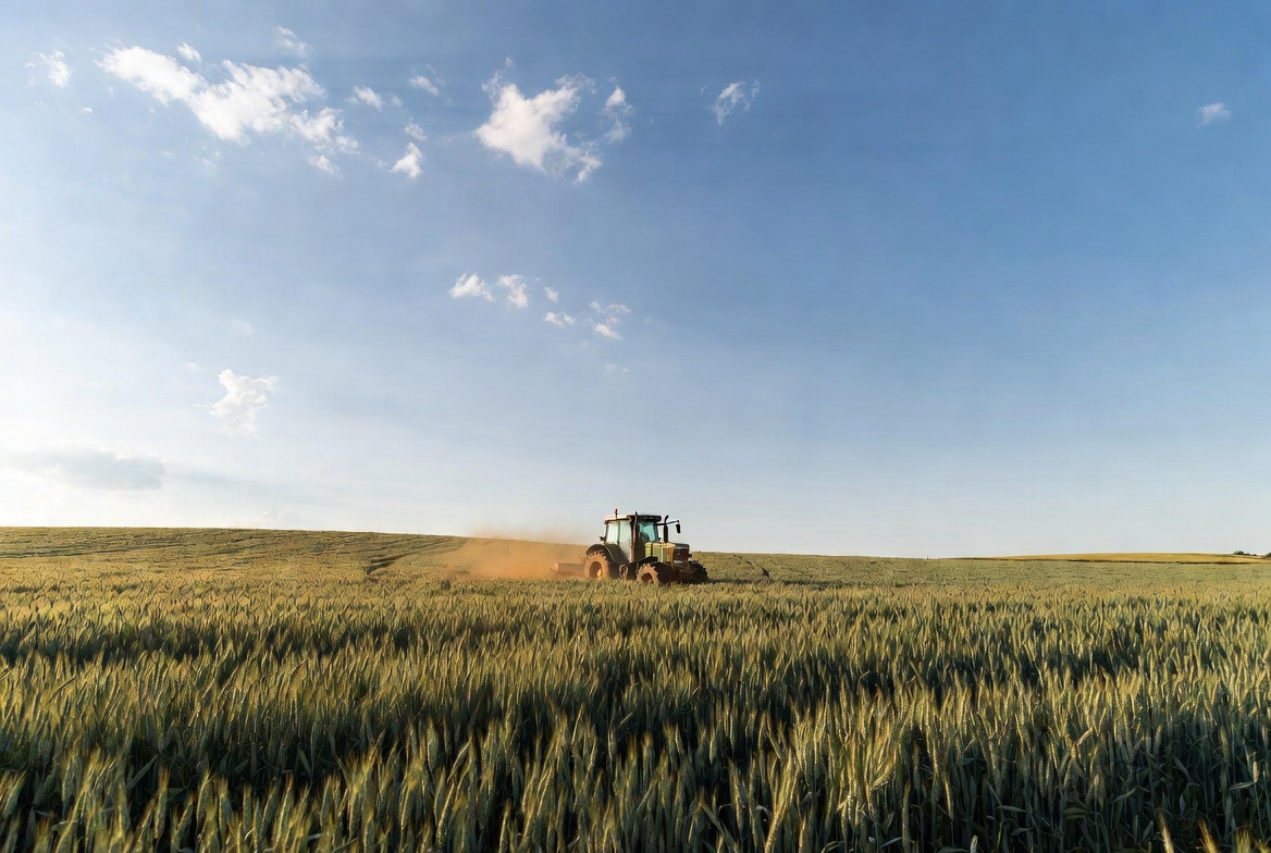 Agricultura românească, lovită de noile reguli UE pentru pesticide